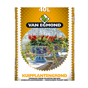 Container plants under