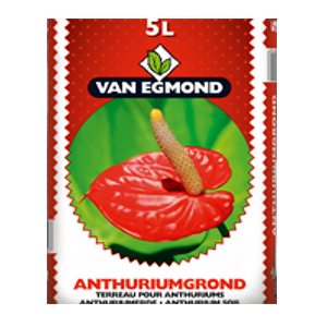 Anthurium soil