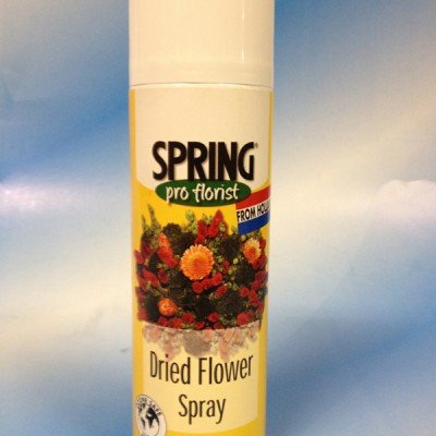 Dried flowers spray